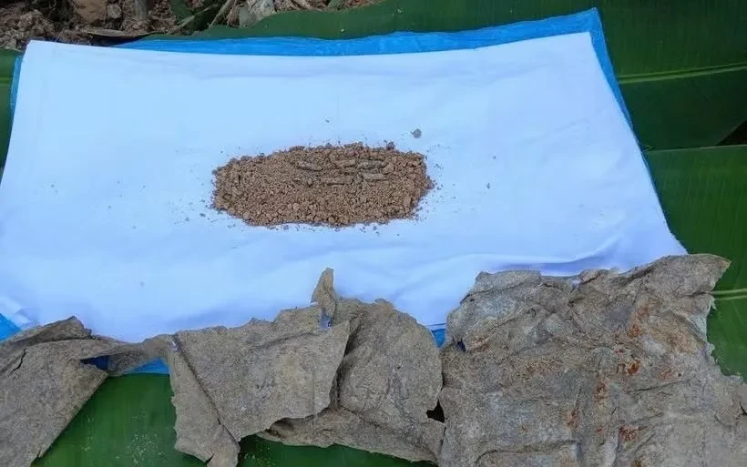 Tìm thấy hai hài cốt liệt sĩ cùng nhiều di vật tại huyện Đakrông, tỉnh Quảng Trị Tìm thấy hai hài cốt liệt sĩ cùng nhiều di vật tại huyện Đakrông, tỉnh Quảng Trị