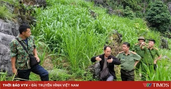 Tìm thấy người đàn ông trong rừng sau nhiều giờ mất tích