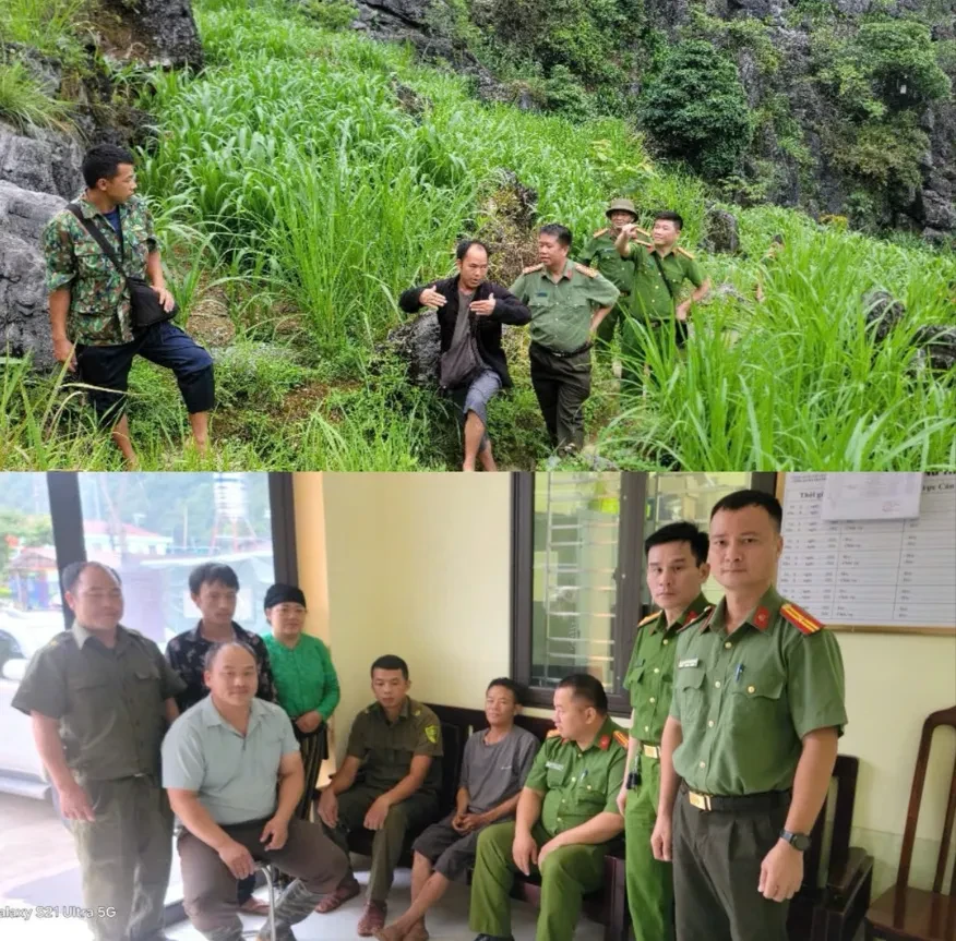 Tìm thấy người đàn ông trong rừng sau nhiều giờ mất tích Tìm thấy người đàn ông trong rừng sau nhiều giờ mất tích