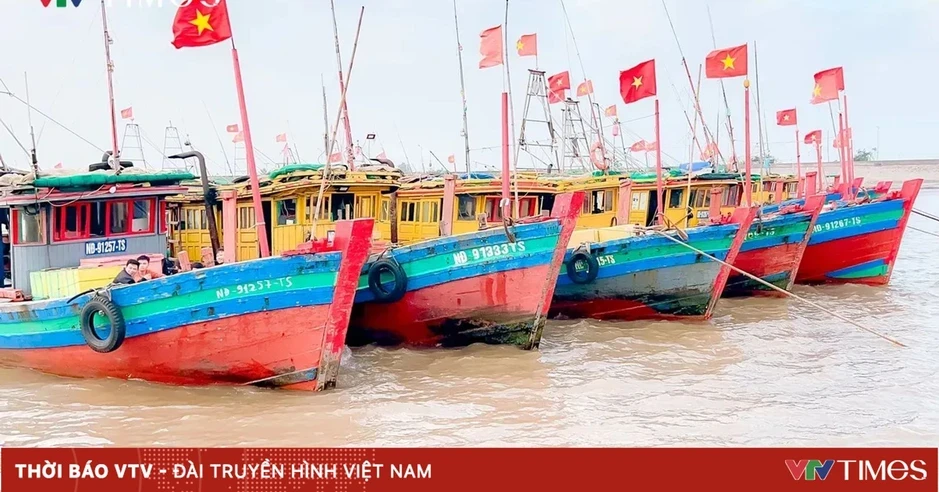 Tìm thấy thi thể ngư dân mất tích sau nhiều ngày tìm kiếm Tìm thấy thi thể ngư dân mất tích sau nhiều ngày tìm kiếm