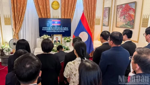 Tin nổi bật ngày 11/8: Lễ đón Tổng Bí thư, Chủ tịch nước Tô Lâm thăm cấp Nhà nước Australia; Quốc hội thảo luận về dự án Luật Phát triển đô thị Tin nổi bật ngày 11/8: Lễ đón Tổng Bí thư, Chủ tịch nước Tô Lâm thăm cấp Nhà nước Australia; Quốc hội thảo luận về dự án Luật Phát triển đô thị