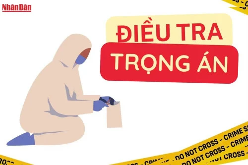 Tin nổi bật ngày 12/8: Tổng Bí thư, Chủ tịch nước Tô Lâm thăm cấp Nhà nước tới New Zealand; Colombia công bố quốc tang 3 ngày sau vụ động đất khiến hơn 200 người thiệt mạng Tin nổi bật ngày 12/8: Tổng Bí thư, Chủ tịch nước Tô Lâm thăm cấp Nhà nước tới New Zealand; Colombia công bố quốc tang 3 ngày sau vụ động đất khiến hơn 200 người thiệt mạng