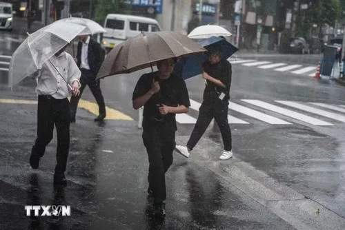 Tin tức nổi bật ngày 7/8: Tổng Bí thư, Chủ tịch nước Tô Lâm tiếp Chủ tịch Quốc hội kiêm Chủ tịch Hạ viện Vương quốc Thái Lan; Bế mạc Hội nghị Ngoại giao lần thứ 33 Tin tức nổi bật ngày 7/8: Tổng Bí thư, Chủ tịch nước Tô Lâm tiếp Chủ tịch Quốc hội kiêm Chủ tịch Hạ viện Vương quốc Thái Lan; Bế mạc Hội nghị Ngoại giao lần thứ 33