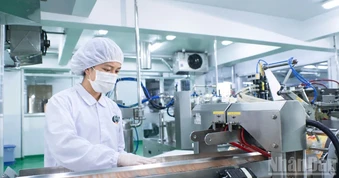 Tổ chức nhiều hoạt động hưởng ứng Ngày Kỹ năng lao động Việt Nam năm 2026