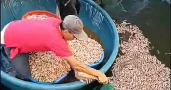 Tôm chết trắng hồ, hút cạn nước phát hiện vật lạ