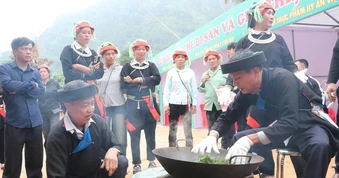 Tôn vinh giá trị nghề làm chè Shan tuyết truyền thống ở Cao Bồ