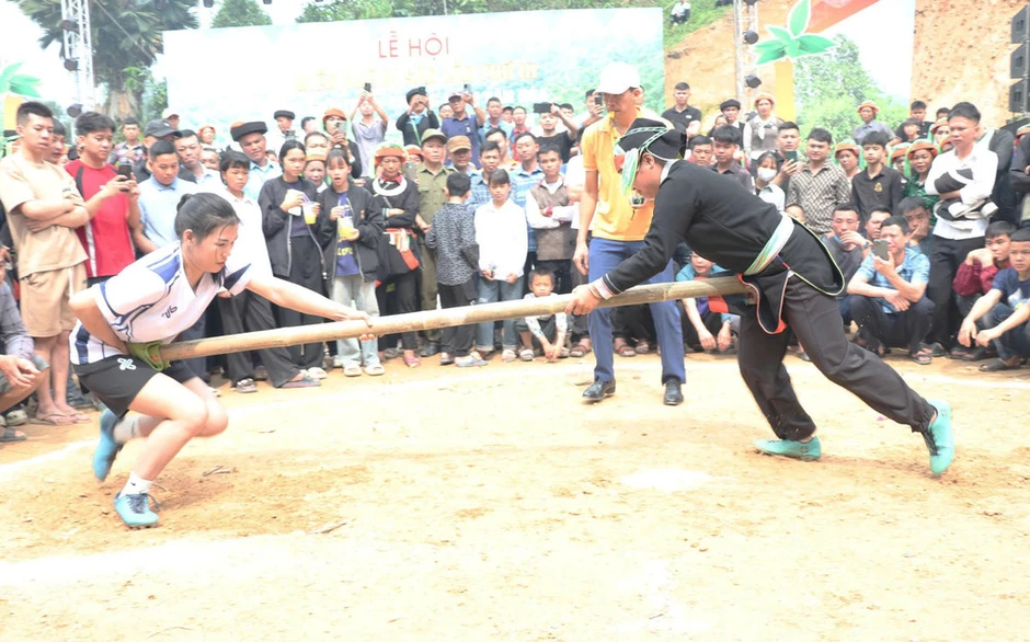 Tôn vinh giá trị nghề làm chè Shan tuyết truyền thống ở Cao Bồ Tôn vinh giá trị nghề làm chè Shan tuyết truyền thống ở Cao Bồ