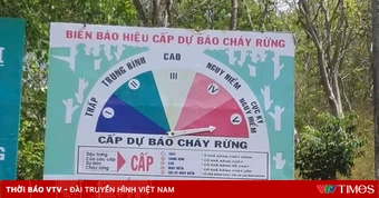 TP Hồ Chí Minh cảnh báo cháy rừng ở cấp cực kỳ nguy hiểm