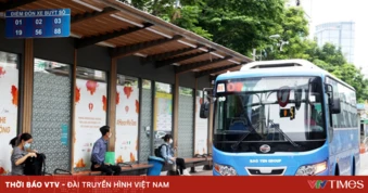 TP Hồ Chí Minh chủ trương miễn phí xe buýt cho người dân