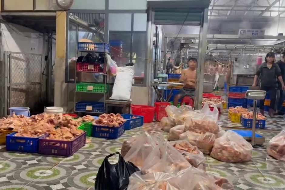 TP Hồ Chí Minh: Phát hiện gần 1.400 con gà giết mổ trái phép, không kiểm dịch TP Hồ Chí Minh: Phát hiện gần 1.400 con gà giết mổ trái phép, không kiểm dịch