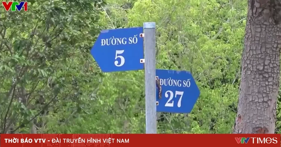 TP Hồ Chí Minh: Phiền toái từ thực trạng tên đường lộn xộn TP Hồ Chí Minh: Phiền toái từ thực trạng tên đường lộn xộn