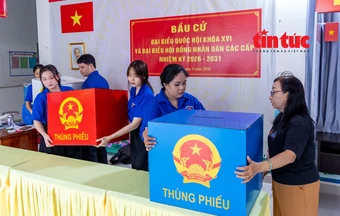 TP Hồ Chí Minh: Rộn ràng công tác chuẩn bị bầu cử tại địa bàn dân cư