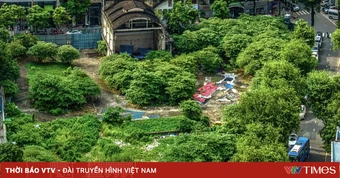 TP Hồ Chí Minh tái phân bổ đất công sau thu hồi như thế nào cho hiệu quả?