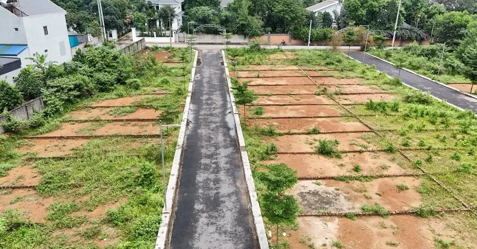 TP Hồ Chí Minh tái phân bổ đất công sau thu hồi như thế nào cho hiệu quả? TP Hồ Chí Minh tái phân bổ đất công sau thu hồi như thế nào cho hiệu quả?