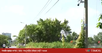 TP Hồ Chí Minh tăng cường xử lý xả rác bằng hệ thống camera tích hợp AI