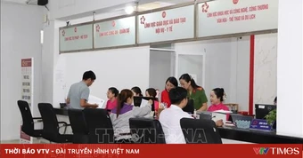 TP Hồ Chí Minh tăng tốc rà soát, xử lý văn bản quy phạm pháp luật