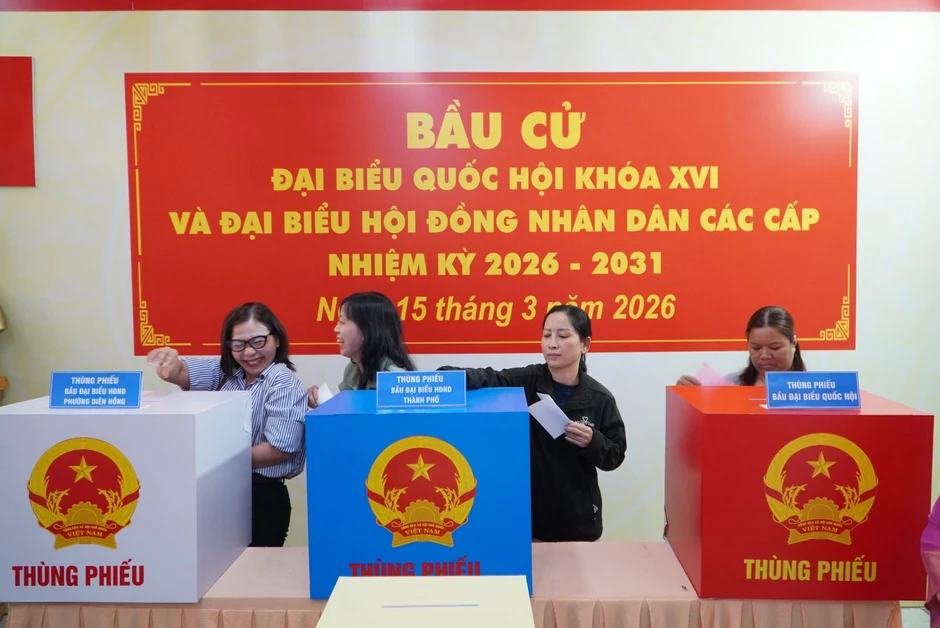 TP Hồ Chí Minh: Vận hành thử nghiệm quy trình bầu cử TP Hồ Chí Minh: Vận hành thử nghiệm quy trình bầu cử