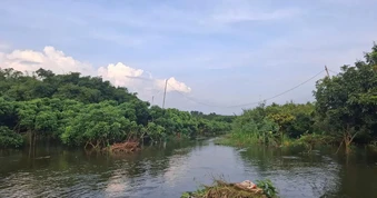 TPHCM khuyến khích sản xuất vật liệu xây dựng giảm phát thải khí nhà kính