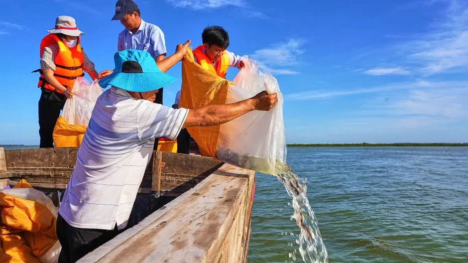 TPHCM khuyến khích sản xuất vật liệu xây dựng giảm phát thải khí nhà kính TPHCM khuyến khích sản xuất vật liệu xây dựng giảm phát thải khí nhà kính