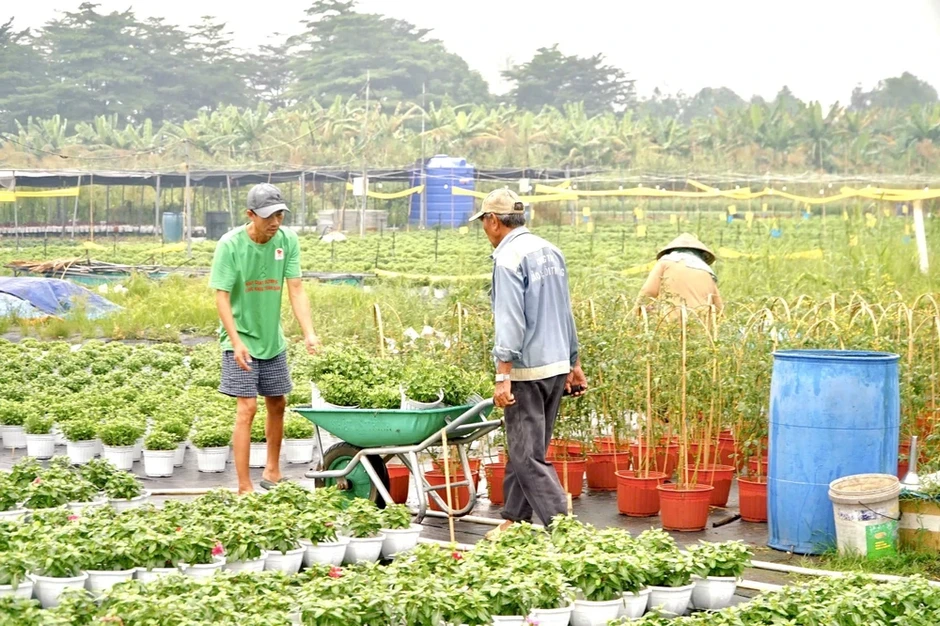 TP.HCM sẽ đào tạo 1.680 lao động nông thôn theo mô hình 'nông dân số' TP.HCM sẽ đào tạo 1.680 lao động nông thôn theo mô hình 'nông dân số'