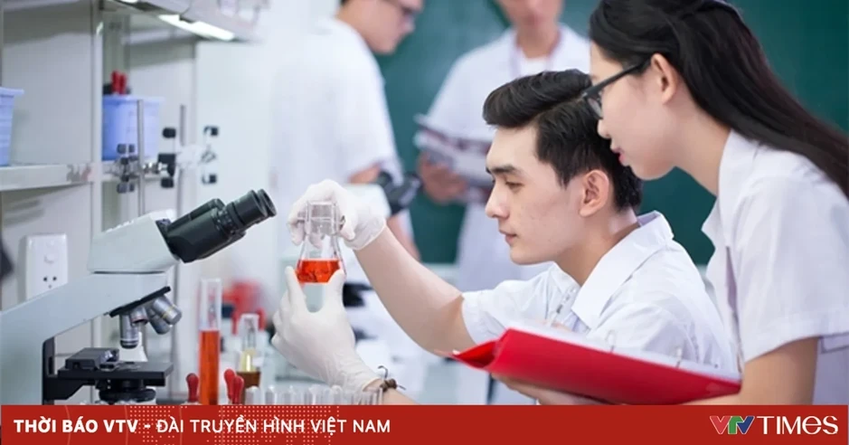 Trách nhiệm xác định vị trí tuyển dụng theo chính sách thu hút người tài Trách nhiệm xác định vị trí tuyển dụng theo chính sách thu hút người tài