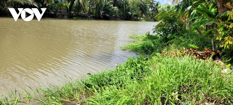 Trại chăn nuôi vịt gây ô nhiễm, “đảo lộn” cuộc sống của khu dân cư tại Đồng Tháp Trại chăn nuôi vịt gây ô nhiễm, “đảo lộn” cuộc sống của khu dân cư tại Đồng Tháp