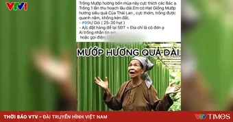 Tràn lan quảng cáo “siêu giống cây trồng”: Cây thật hay bẫy ảo?