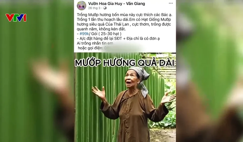 Tràn lan quảng cáo “siêu giống cây trồng”: Cây thật hay bẫy ảo? Tràn lan quảng cáo “siêu giống cây trồng”: Cây thật hay bẫy ảo?