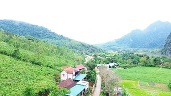 Trăn trở nơi thượng nguồn Long Đại