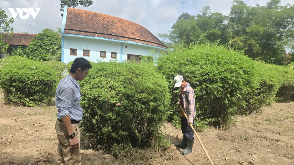 Trăn trở ở “ngân hàng tre” lớn nhất Việt Nam tại TP.HCM