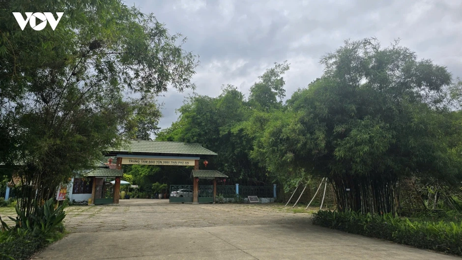 Trăn trở ở “ngân hàng tre” lớn nhất Việt Nam tại TP.HCM