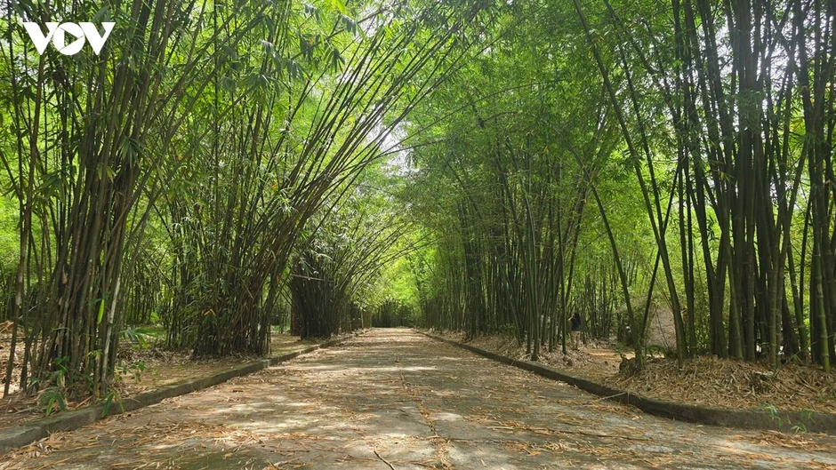 Trăn trở ở “ngân hàng tre” lớn nhất Việt Nam tại TP.HCM