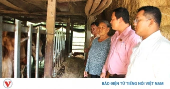 Trao đúng sinh kế để giảm nghèo bền vững tại Cần Thơ