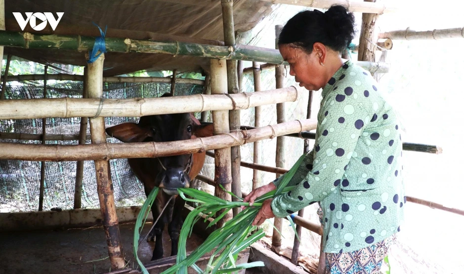 Trao đúng sinh kế để giảm nghèo bền vững tại Cần Thơ Trao đúng sinh kế để giảm nghèo bền vững tại Cần Thơ
