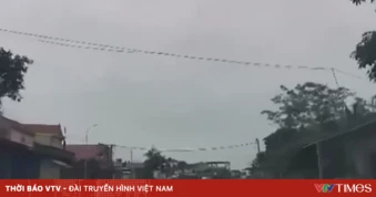 Trẻ nhỏ bất ngờ băng qua đường, tài xế phanh gấp tránh tai nạn