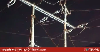 Trèo cột điện lấy tổ chim, một học sinh ở Lào Cai bị điện giật tử vong