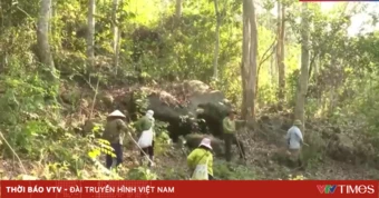 Triển khai các biện pháp phòng chống cháy rừng trong cao điểm nắng nóng