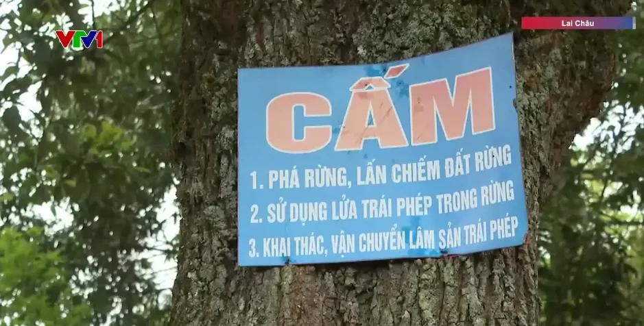 Triển khai các biện pháp phòng chống cháy rừng trong cao điểm nắng nóng Triển khai các biện pháp phòng chống cháy rừng trong cao điểm nắng nóng