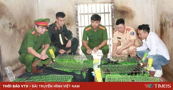 Triệt xóa đường dây mua bán, vận chuyển động vật nguy cấp, quý hiếm