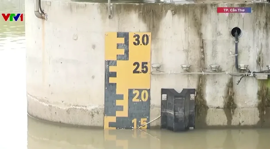 Triều cường năm nay có thể vượt báo động 3 Triều cường năm nay có thể vượt báo động 3