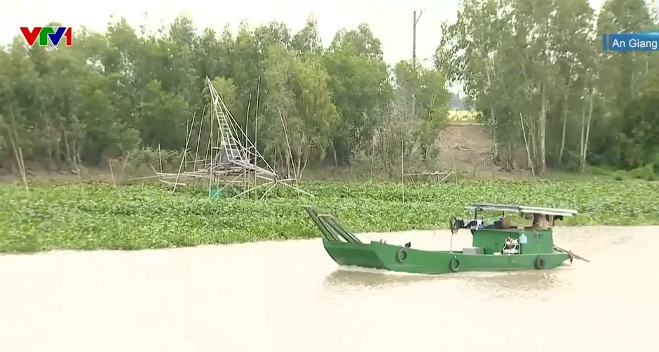 Triều cường ở ĐBSCL có thể vượt báo động 3, các địa phương tăng cường chống ngập