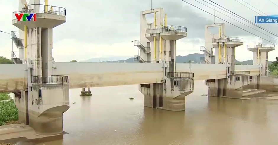 Triều cường ở ĐBSCL có thể vượt báo động 3, các địa phương tăng cường chống ngập