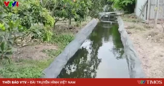 Trữ nước ứng phó hạn mặn: Giải pháp chủ động của nhà vườn
