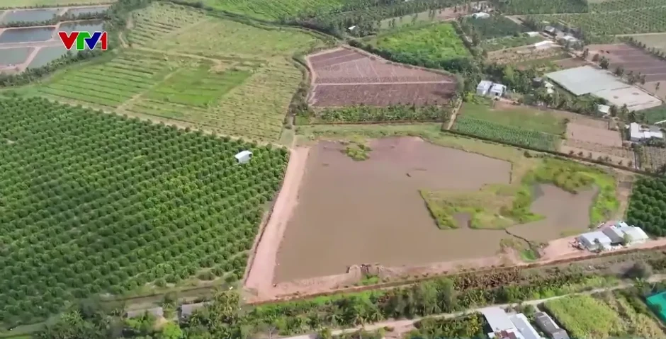 Trữ nước ứng phó hạn mặn: Giải pháp chủ động của nhà vườn Trữ nước ứng phó hạn mặn: Giải pháp chủ động của nhà vườn