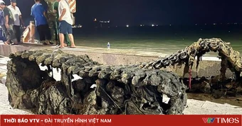 Trục vớt thành công xe tăng tại biển Quy Nhơn