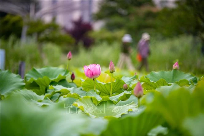 Trung Quốc tăng cường kiểm soát ô nhiễm tiếng ồn, xây dựng hàng nghìn 'cộng đồng yên tĩnh' Trung Quốc tăng cường kiểm soát ô nhiễm tiếng ồn, xây dựng hàng nghìn 'cộng đồng yên tĩnh'
