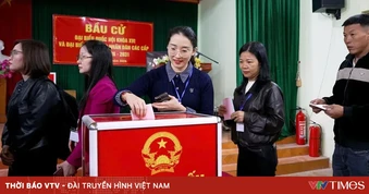 Trường hợp nào cử tri được nhờ người khác viết hộ phiếu, bỏ hộ phiếu bầu cử?