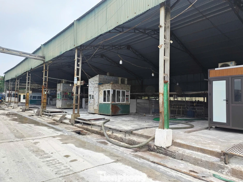 Trường nào sử dụng thịt trong đường dây 300 tấn lợn bệnh? Trường nào sử dụng thịt trong đường dây 300 tấn lợn bệnh?