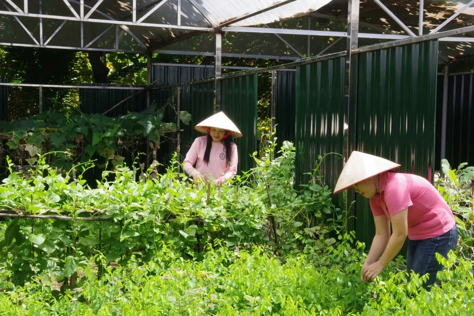 Trường Sa nơi đầu sóng: Sức sống mãnh liệt từ những mái ấm gia đình Trường Sa nơi đầu sóng: Sức sống mãnh liệt từ những mái ấm gia đình