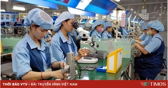 Từ 10/9, áp dụng quy định mới xử phạt vi phạm trong lĩnh vực lao động, bảo hiểm xã hội